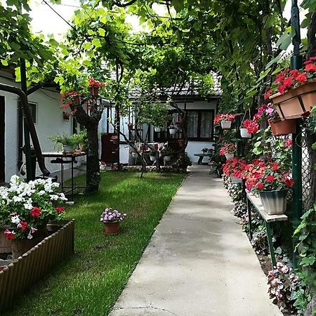 Flower House Κονστάντζα Εξωτερικό φωτογραφία